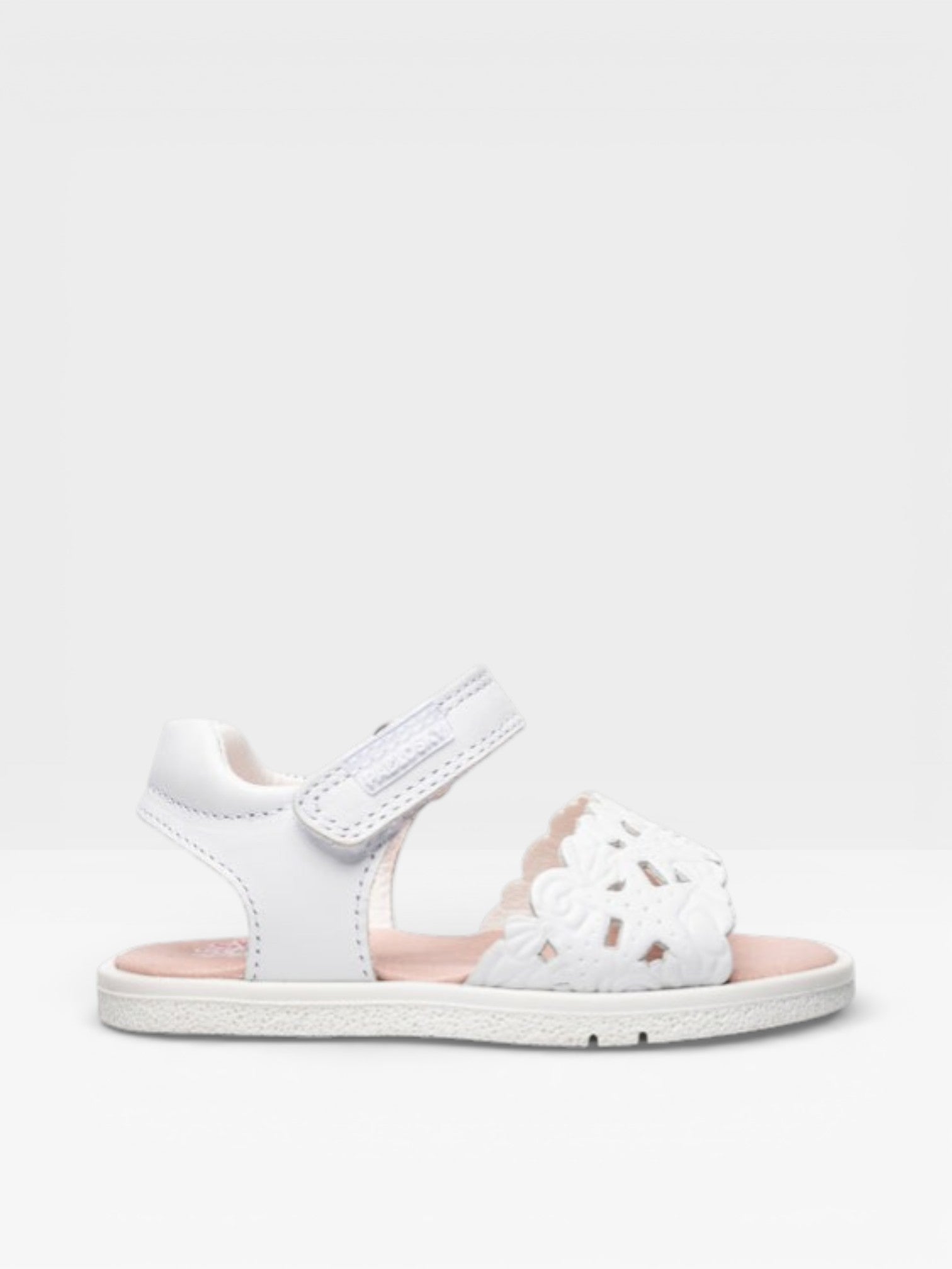 QUIZZ 072800 - Pablosky