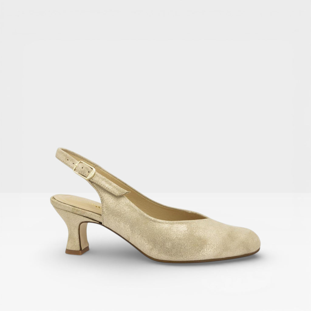 Salón Ante Metal 260230 - PieSanto