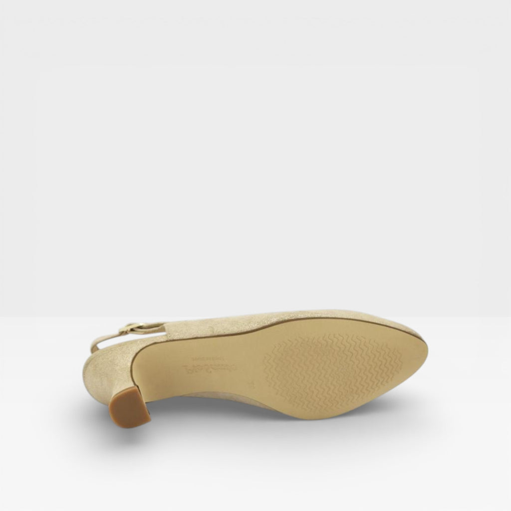 Salón Ante Metal 260230 - PieSanto