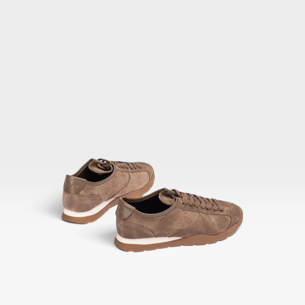 Deportivo con grabado de cocodrilo - Unisa