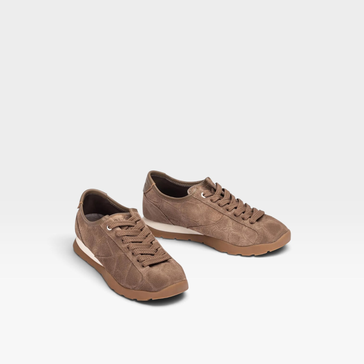 Deportivo con grabado de cocodrilo - Unisa